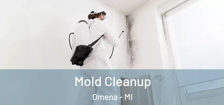  Mold Cleanup Omena - MI