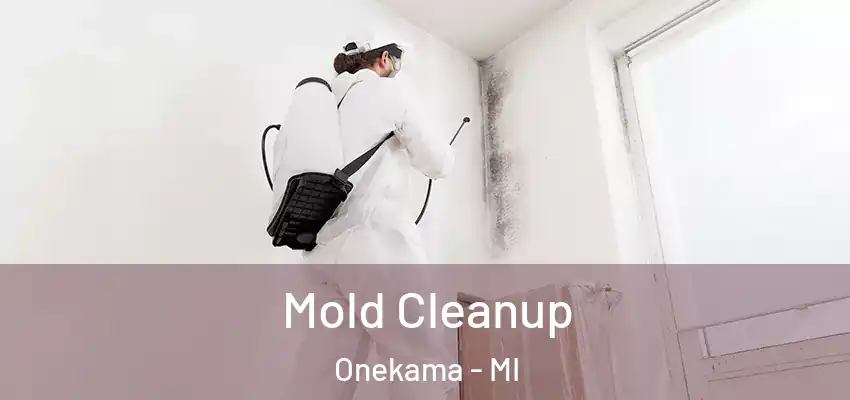  Mold Cleanup Onekama - MI
