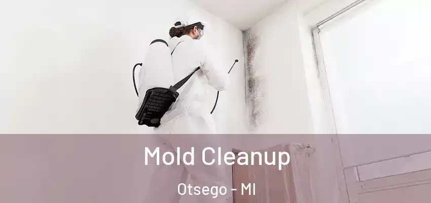 Mold Cleanup Otsego - MI