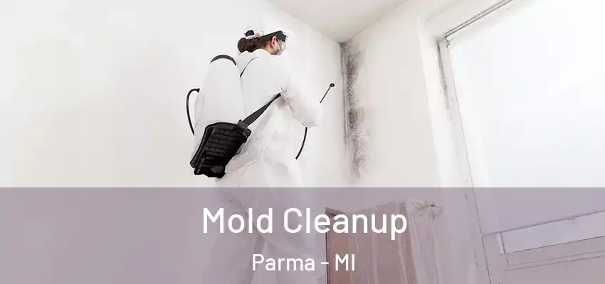  Mold Cleanup Parma - MI