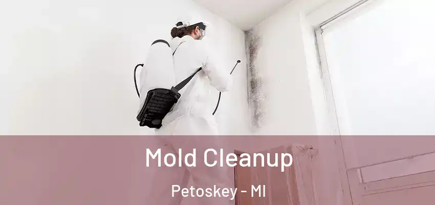  Mold Cleanup Petoskey - MI
