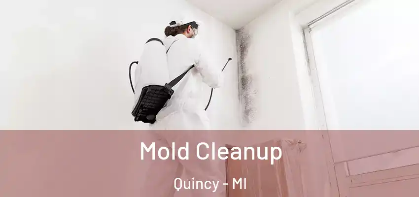 Mold Cleanup Quincy - MI