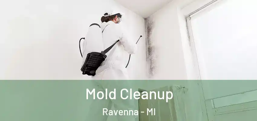 Mold Cleanup Ravenna - MI