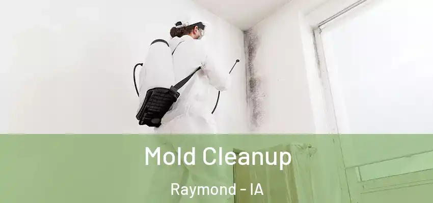 Mold Cleanup Raymond - IA