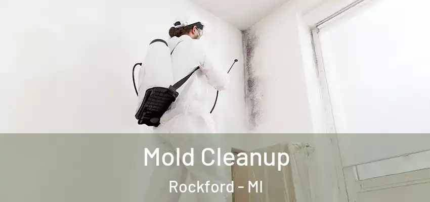  Mold Cleanup Rockford - MI