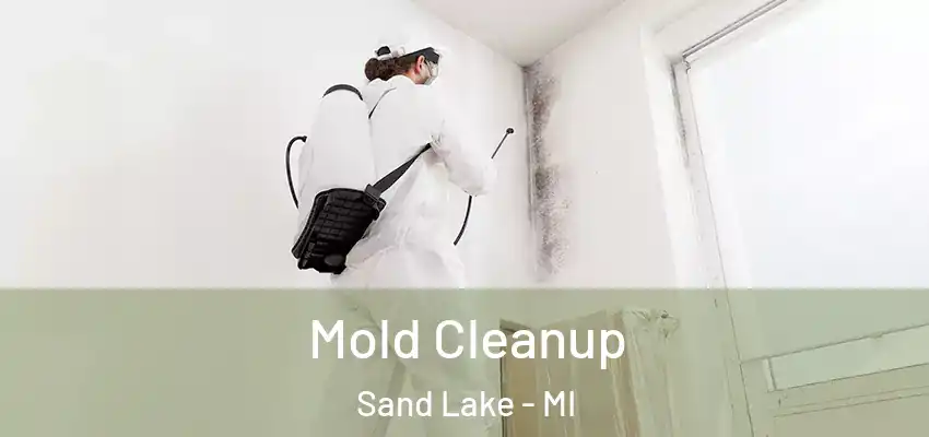 Mold Cleanup Sand Lake - MI