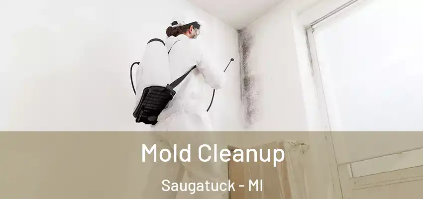 Mold Cleanup Saugatuck - MI
