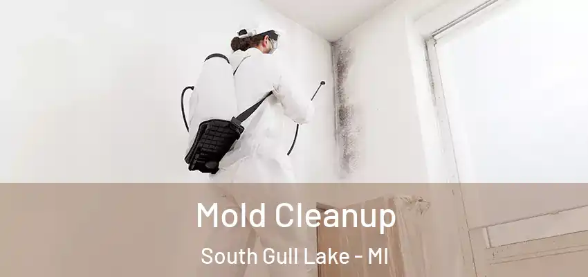  Mold Cleanup South Gull Lake - MI