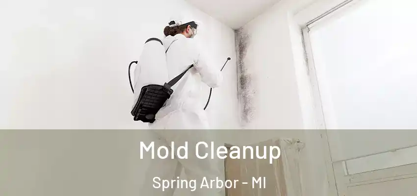  Mold Cleanup Spring Arbor - MI