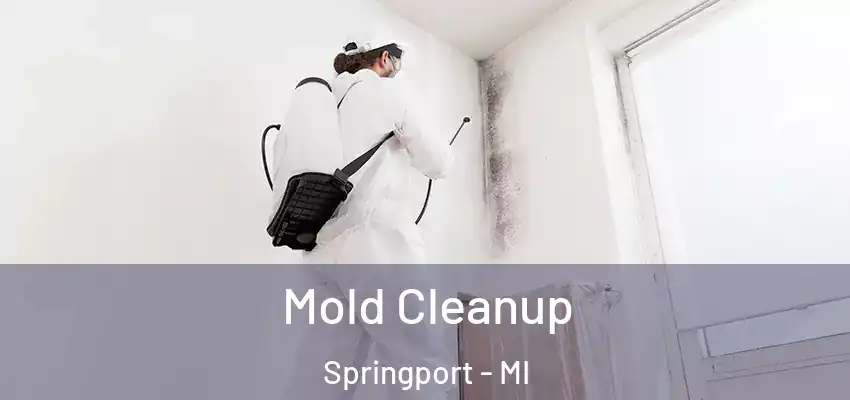  Mold Cleanup Springport - MI