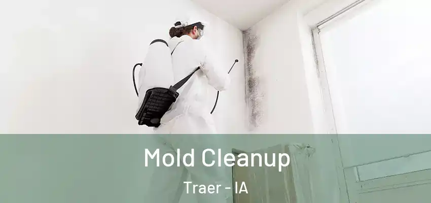  Mold Cleanup Traer - IA