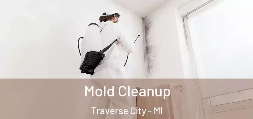  Mold Cleanup Traverse City - MI