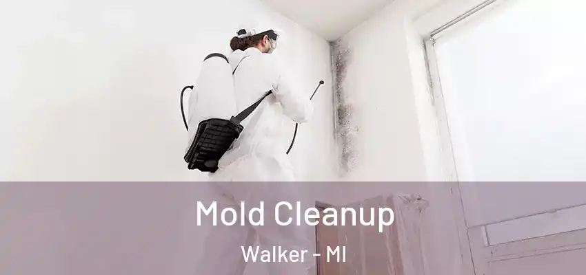  Mold Cleanup Walker - MI