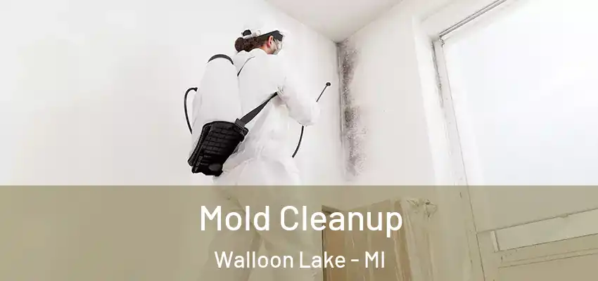 Mold Cleanup Walloon Lake - MI