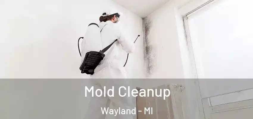 Mold Cleanup Wayland - MI