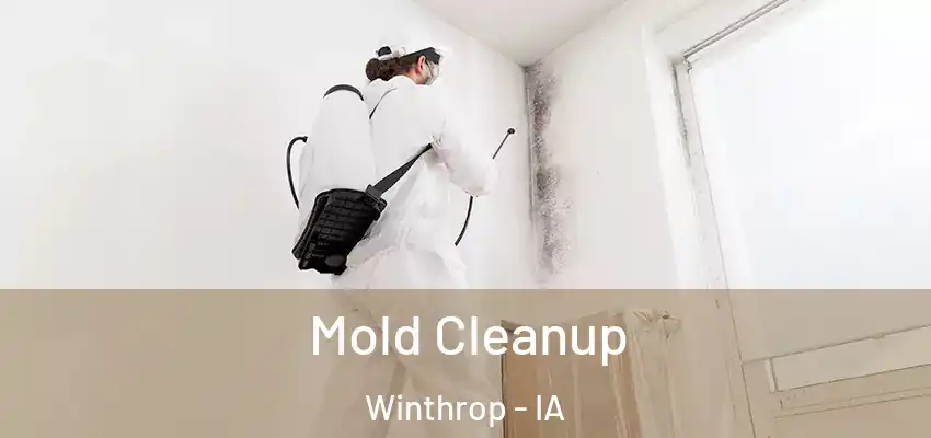 Mold Cleanup Winthrop - IA
