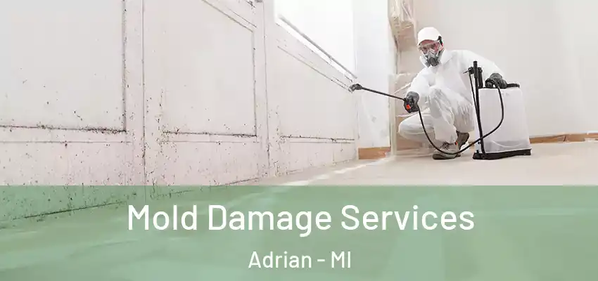  Mold Damage Services Adrian - MI