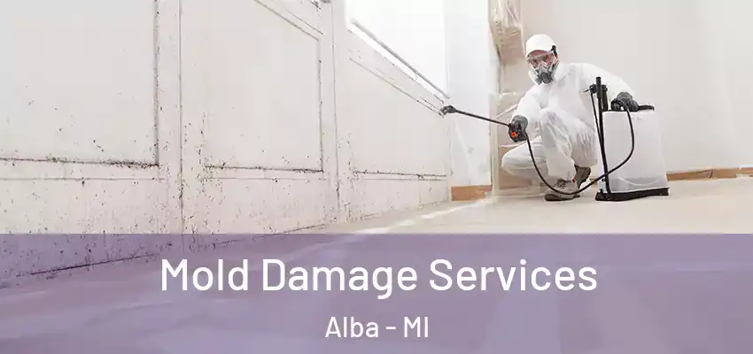  Mold Damage Services Alba - MI