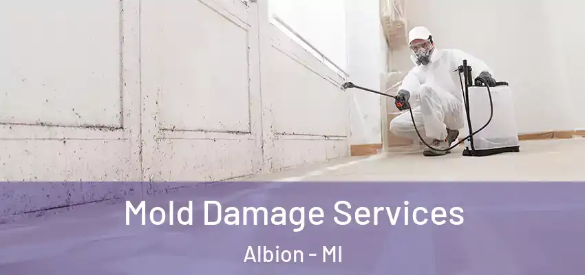  Mold Damage Services Albion - MI