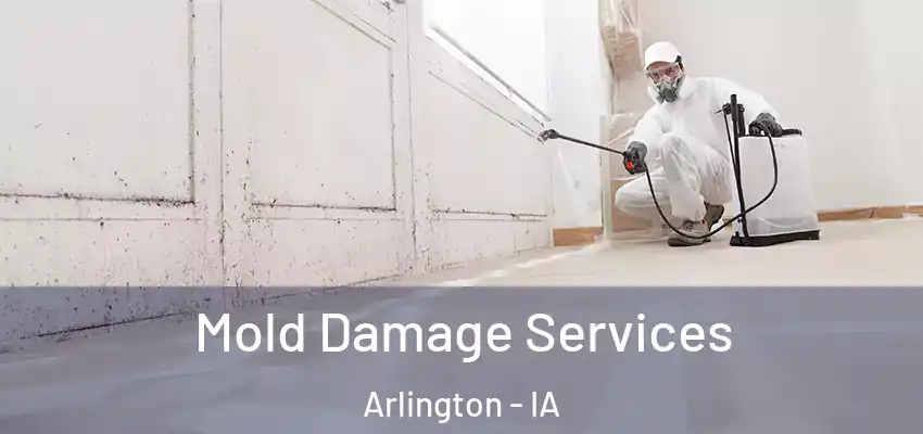  Mold Damage Services Arlington - IA
