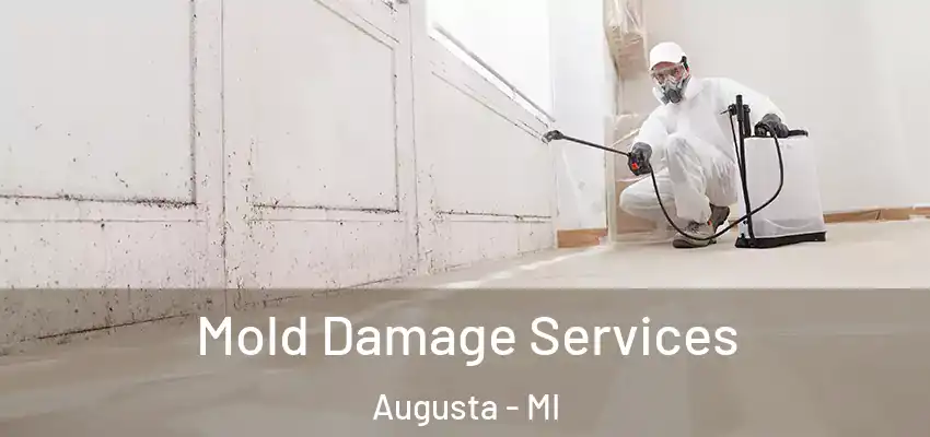  Mold Damage Services Augusta - MI
