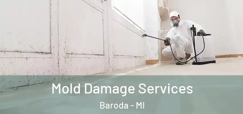  Mold Damage Services Baroda - MI