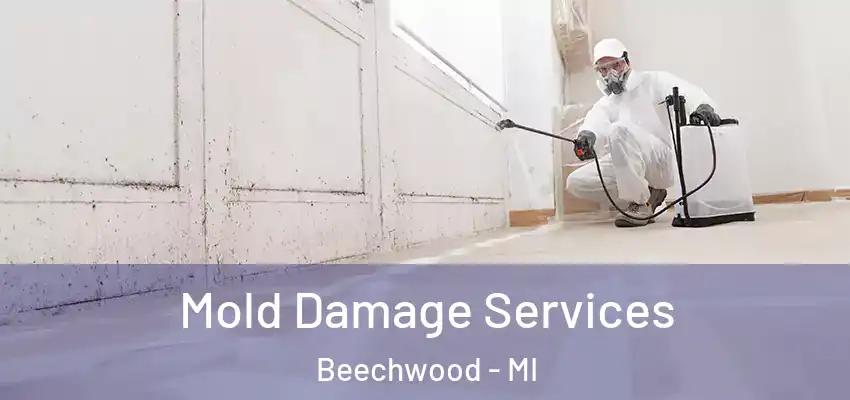  Mold Damage Services Beechwood - MI
