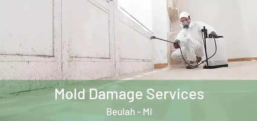  Mold Damage Services Beulah - MI