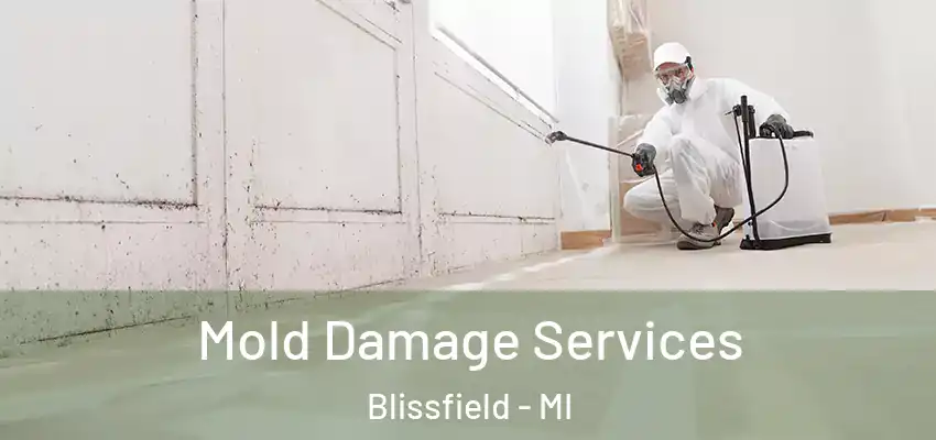  Mold Damage Services Blissfield - MI