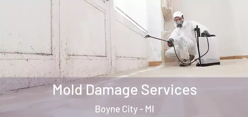  Mold Damage Services Boyne City - MI
