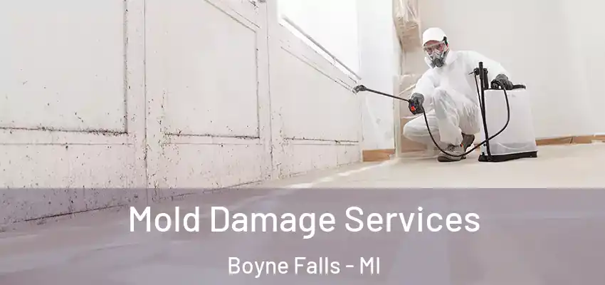  Mold Damage Services Boyne Falls - MI