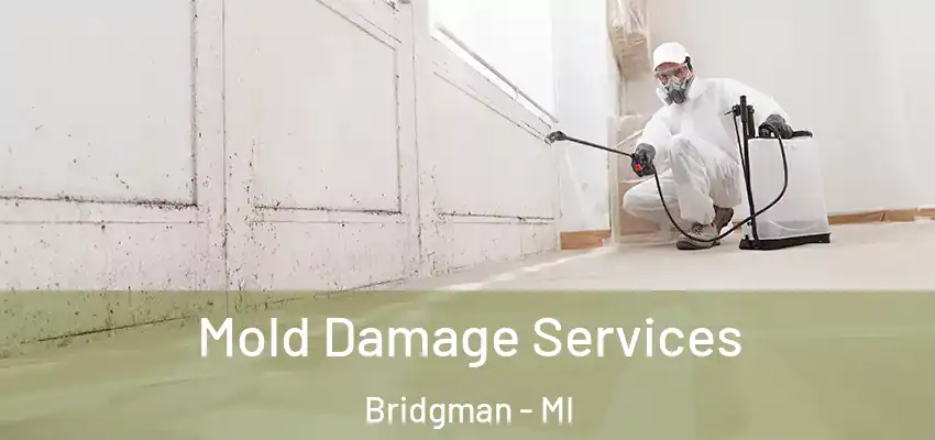  Mold Damage Services Bridgman - MI