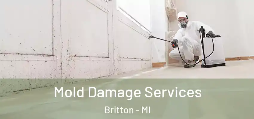  Mold Damage Services Britton - MI