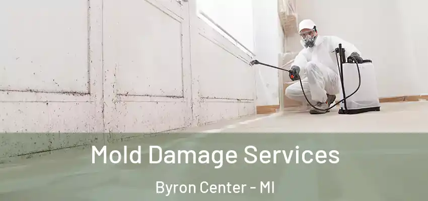 Mold Damage Services Byron Center - MI