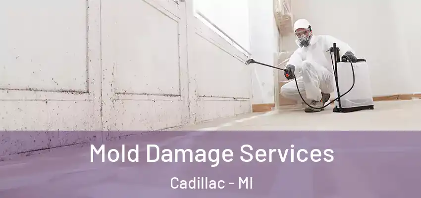  Mold Damage Services Cadillac - MI