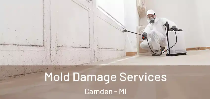  Mold Damage Services Camden - MI