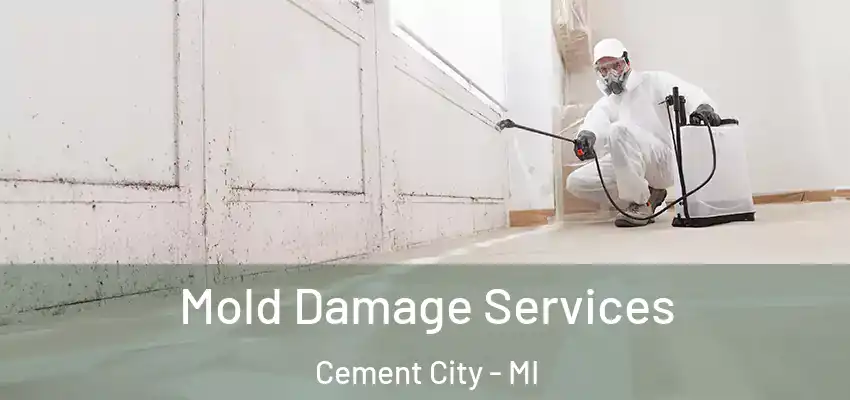  Mold Damage Services Cement City - MI