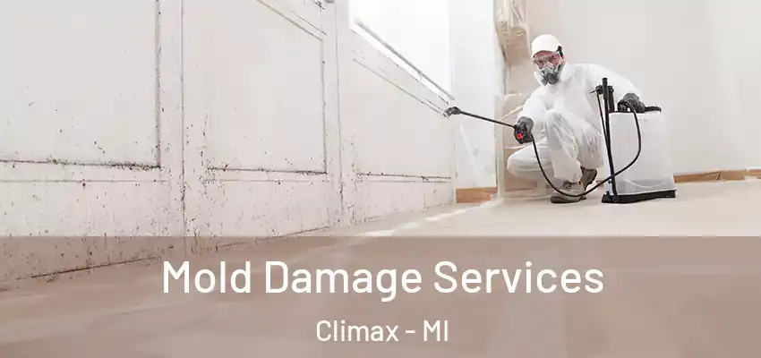  Mold Damage Services Climax - MI