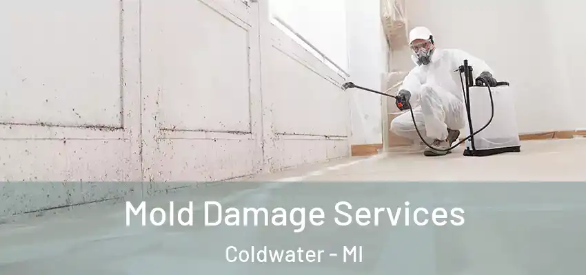  Mold Damage Services Coldwater - MI