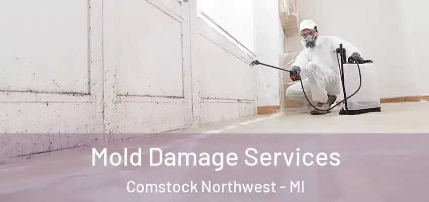 Mold Damage Services Comstock Northwest - MI