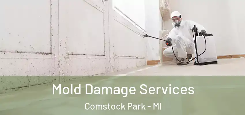 Mold Damage Services Comstock Park - MI