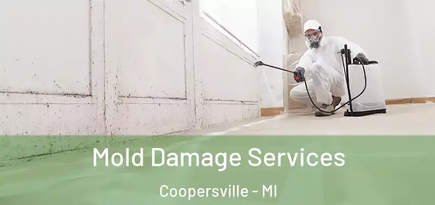  Mold Damage Services Coopersville - MI