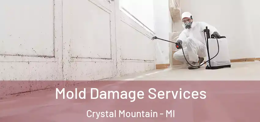 Mold Damage Services Crystal Mountain - MI