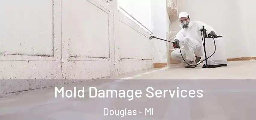  Mold Damage Services Douglas - MI