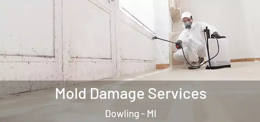 Mold Damage Services Dowling - MI
