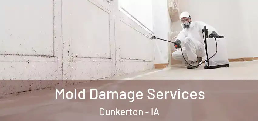  Mold Damage Services Dunkerton - IA