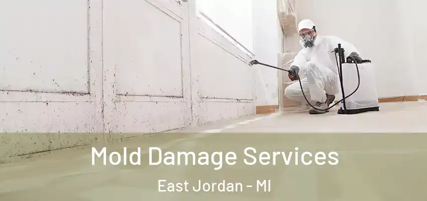  Mold Damage Services East Jordan - MI