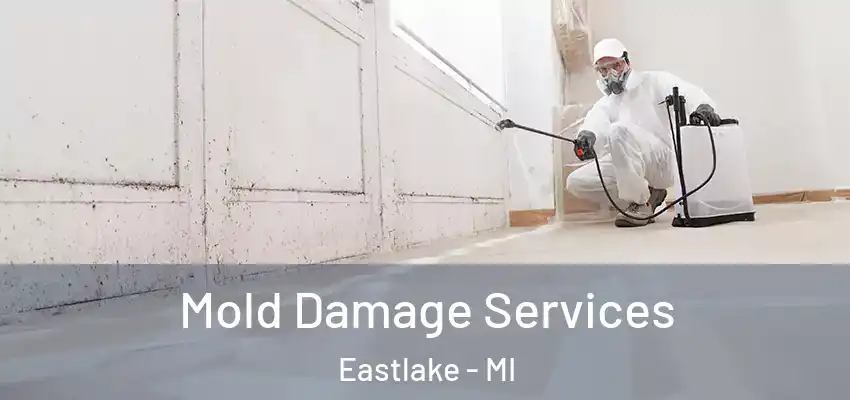 Mold Damage Services Eastlake - MI