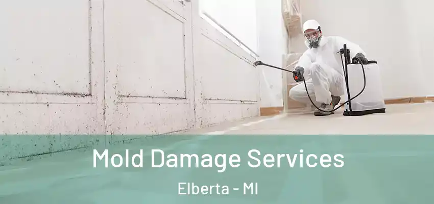  Mold Damage Services Elberta - MI