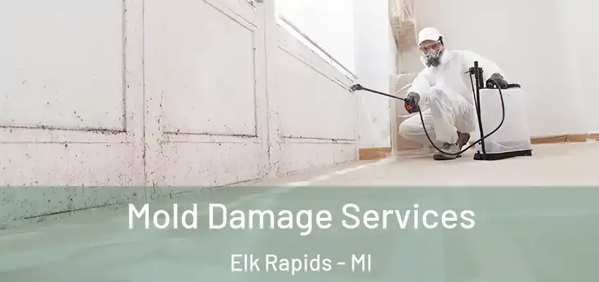 Mold Damage Services Elk Rapids - MI